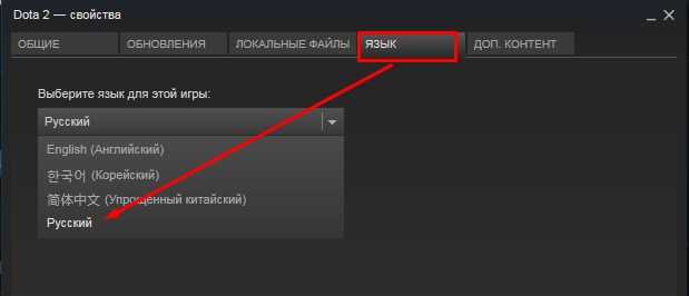Вылетает dota 2 - решение проблем с игрой при загрузке, при запуске, во время игры