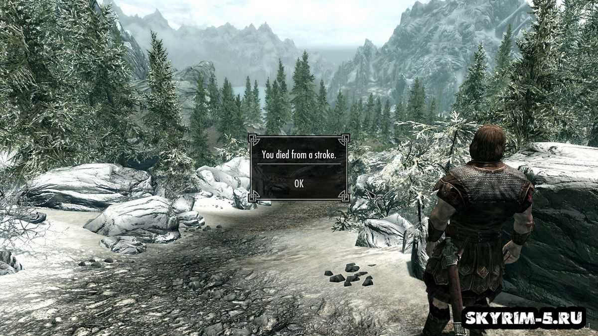The elder scrolls 5: skyrim – обзор игры, системные требования, отзывы, дата выхода игры