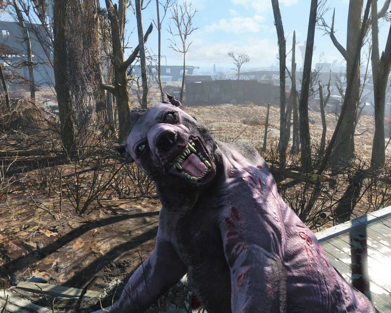 Fallout 76: where to find yao guai – gameskinny