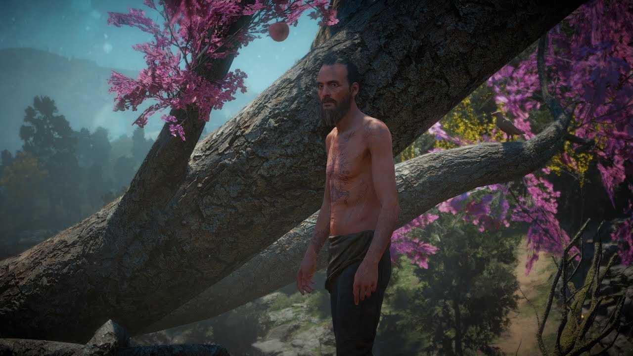 Прохождение far cry new dawn и полезные советы. far cry new dawn прохождение | новости, гайды, обзоры, рецензии все о лучших компьютерных играх