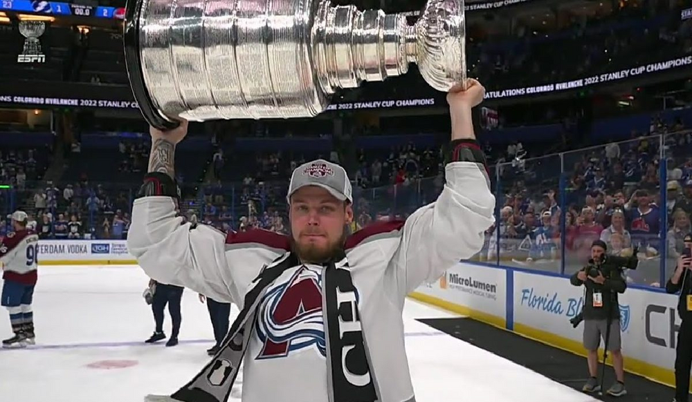 Нхл 15 – nhl 15 - дата выхода, системные требования, официальный сайт, обзор, скачать торрент бесплатно, коды, прохождение