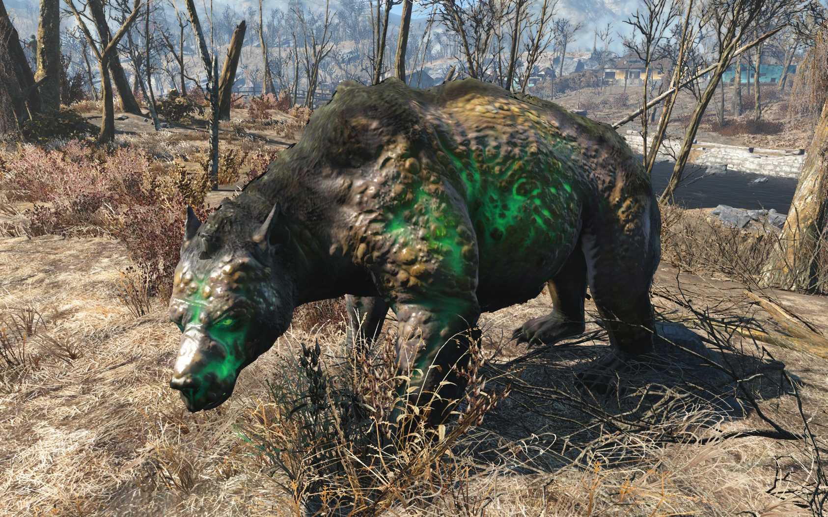 Прохождение квестов на легендарное оружие в fallout 76