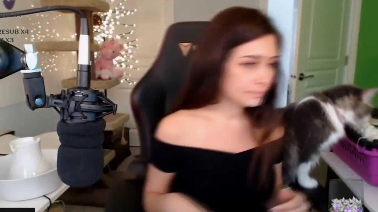 4 раза alinity стала мемом