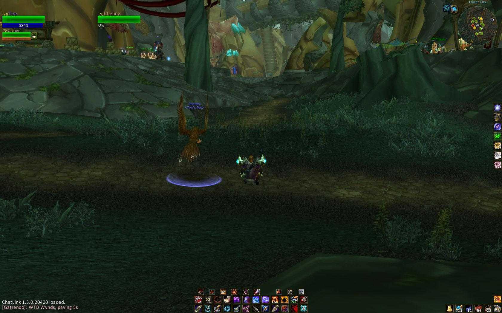 Wow pet addons for pet battles and companions