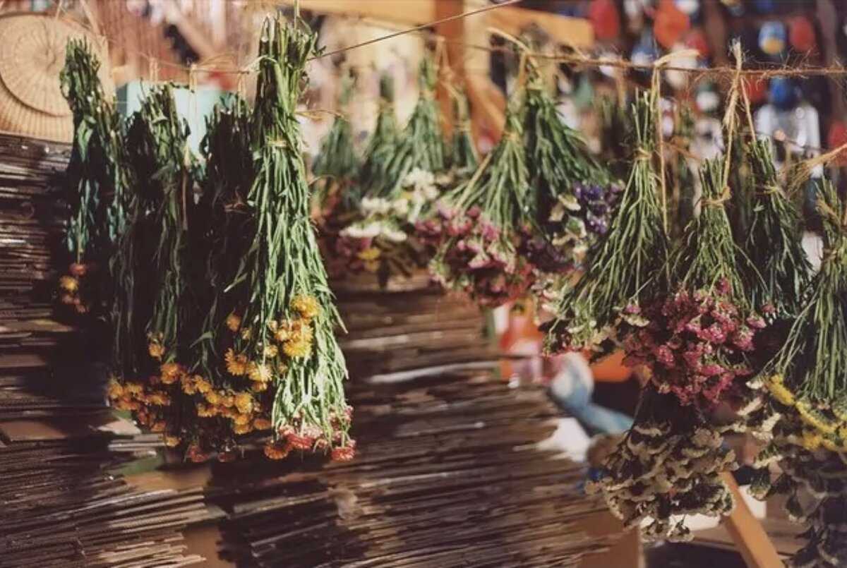 Гайд по травничеству (herbalism) в wow legion