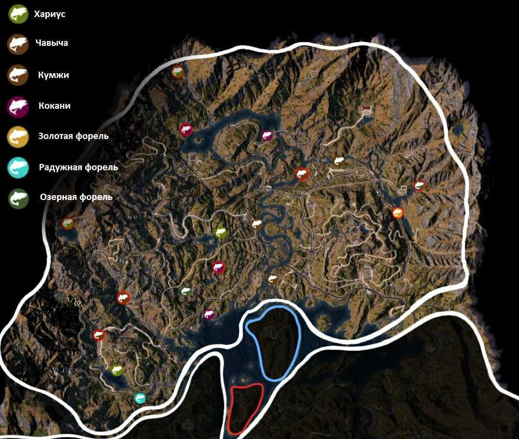 Как получить, сохранить и продать идеальные шкуры в rdr 2?