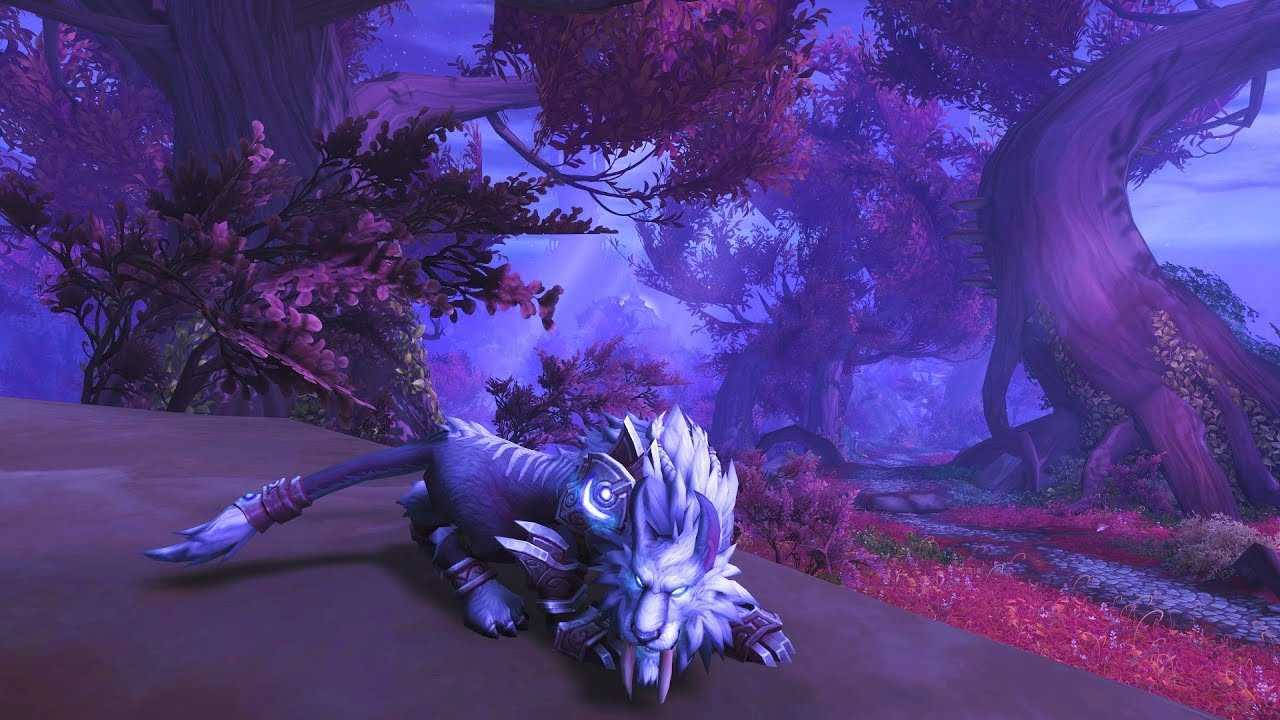Все что нужно знать про ферал друида в wow shadowlands 9.1