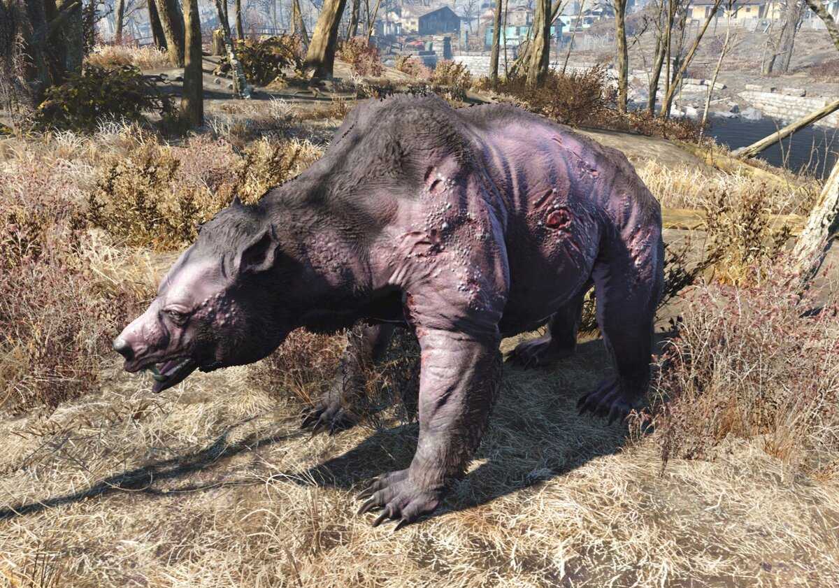 Где найти пружины в fallout 76? - онлайн справочник по настройке гаджетов