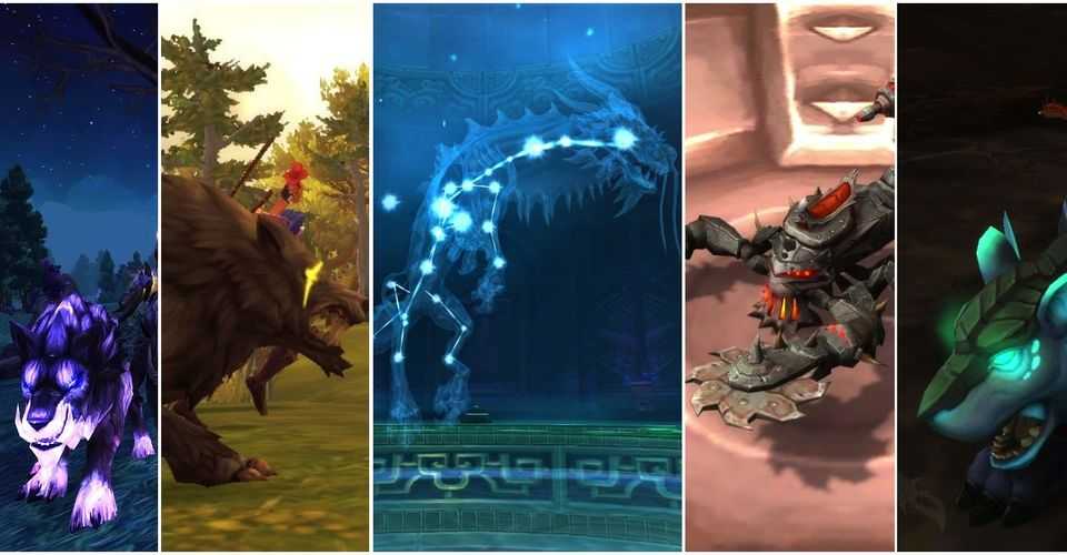 Гайд по мм ханту в wow shadowlands 9.1 | world of rpg