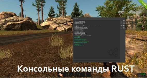 Все читы для rust