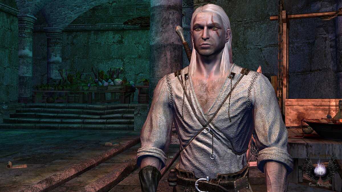 The witcher 1. прохождение игры (2)