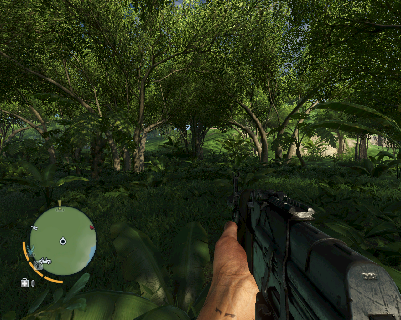 Как быстро открыть все навыки в игре far cry 3. полный гайд