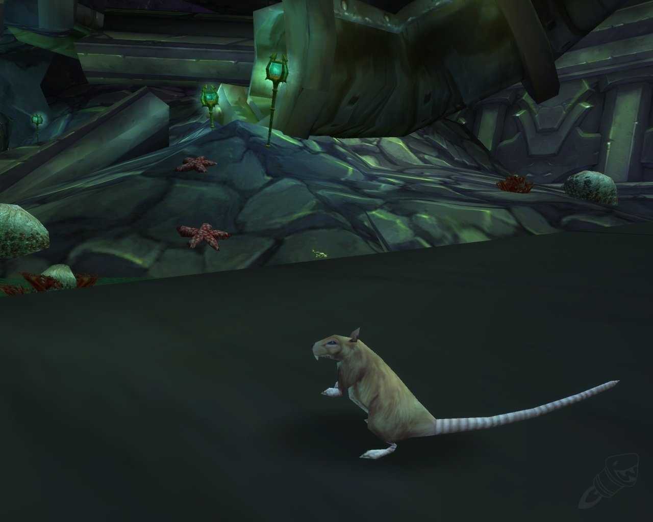 Как получить дракона (маунта) в wow?