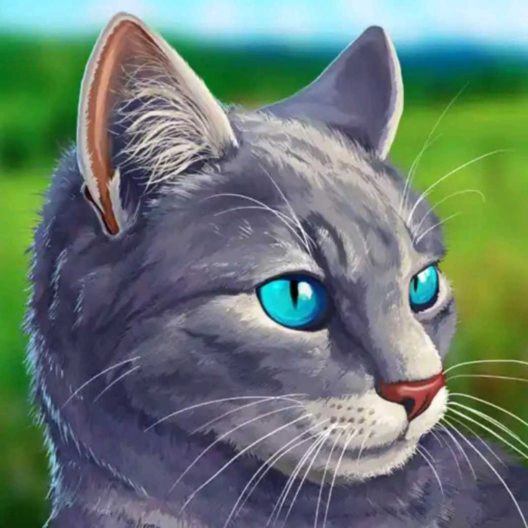Симулятор кошки на компьютер