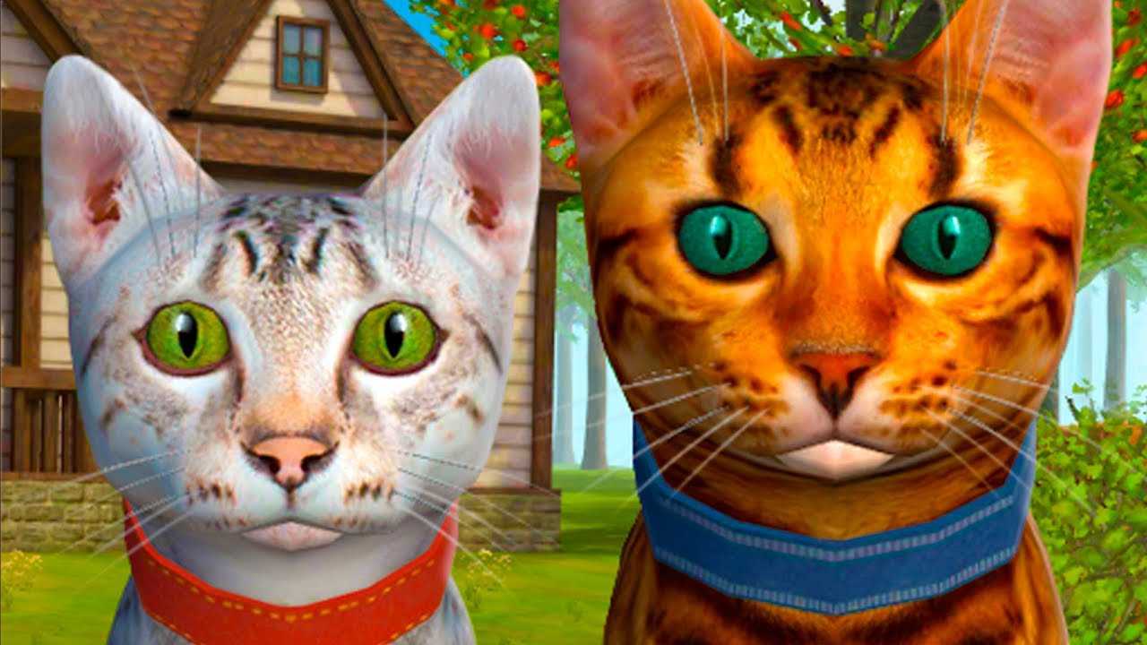 Скачать на андроид игру cat simulator - софт-портал