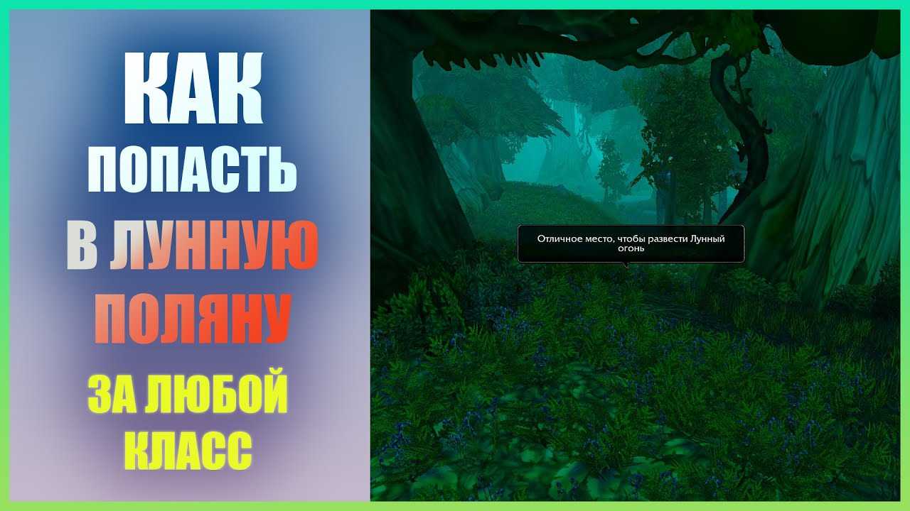 Секреты путешествия: как выбраться из лунной поляны в world of warcraft