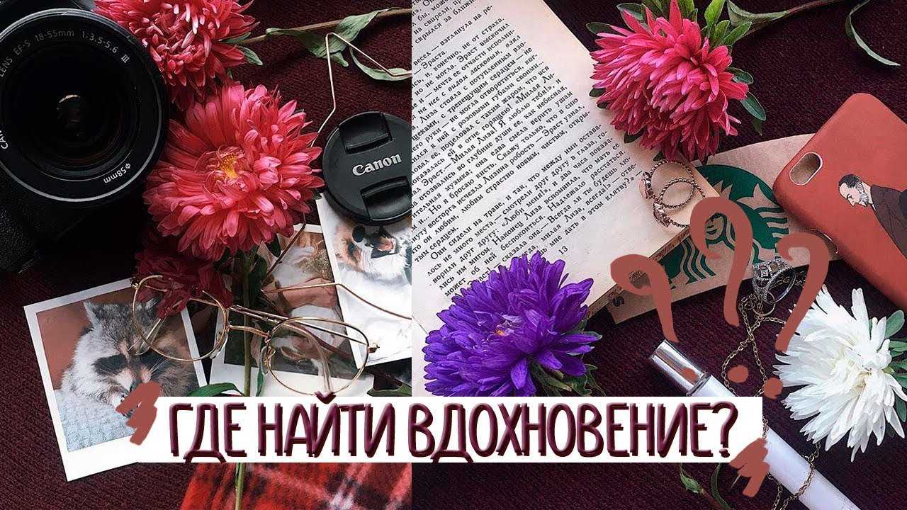 Источники вдохновения для дизайнера. мои любимые дизайнеры. ‹ виртуальная школа графического дизайна