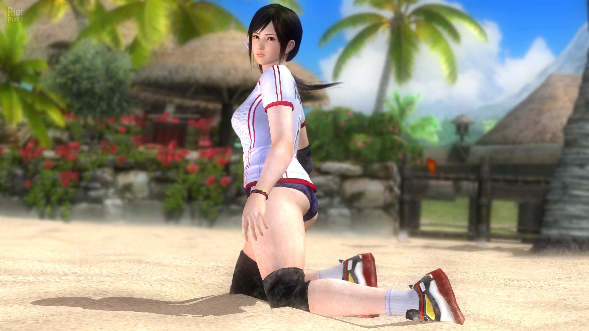 Dead or alive® 5 last round
